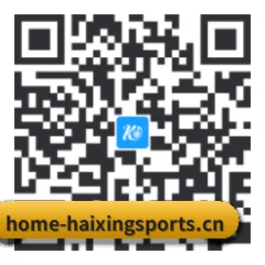 系统版 iOS 二维码